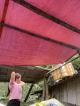 meganmeo online show from March 24, 5:51 am