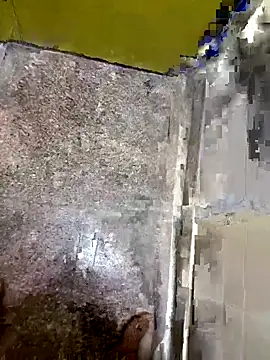 ray buny online show from November 26, 7:36 pm