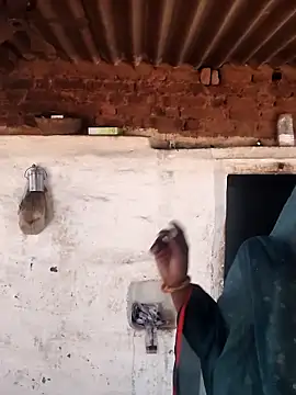 Babita Gori online show from February 15, 5:41 am