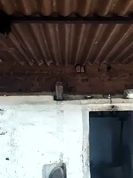 Babita Gori online show from April 9, 2:35 am