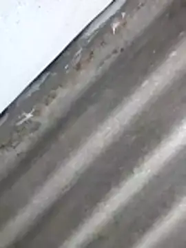 Babita Gori online show from April 8, 2:29 pm