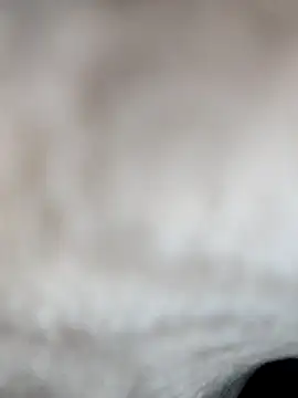 jiniya6789 online show from January 15, 8:18 am