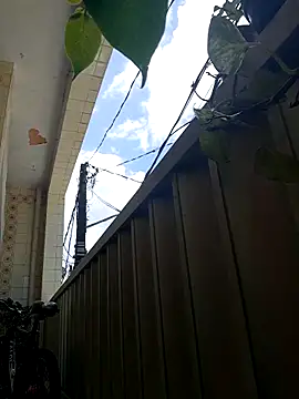 wakahoe online show from April 8, 1:34 pm