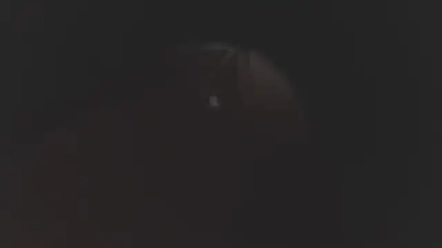 megan lenon online show from December 19, 3:10 am