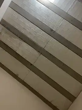 PartiedOmelet online show from February 23, 5:24 pm