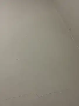 PartiedOmelet online show from January 13, 1:48 pm