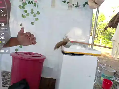 Juliet official pro online show from March 14, 11:33 pm