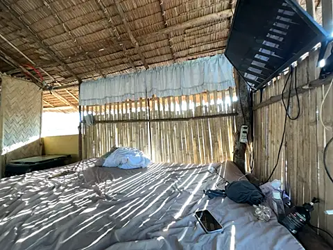 Juliet official pro online show from April 3, 11:44 pm