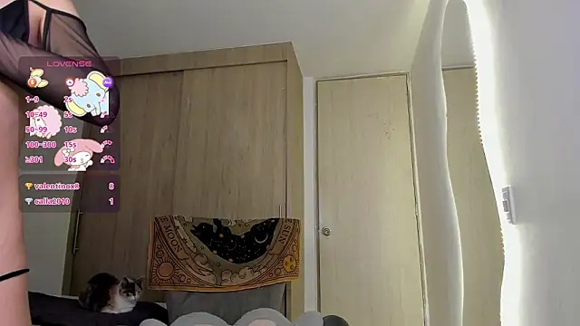 sofy meuw online show from February 26, 6:35 am