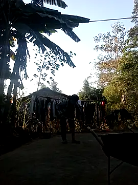 hey-bana online show from November 28, 12:11 am