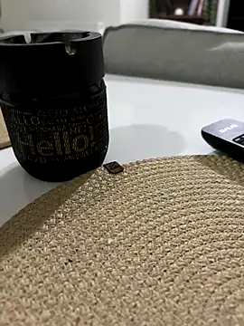 Bigefe online show from November 28, 8:53 pm