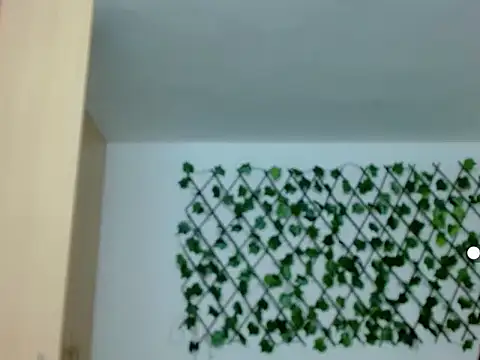 Snapshot of kuroneko_97 chatting on November 29, 8:20 pm kuroneko 97 online show from November 29, 8:20 pm