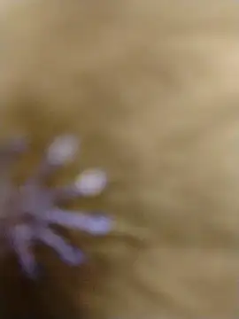 RASHMI SHARMA9 online show from February 16, 4:00 am