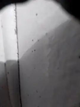 AdvancedRoster online show from February 16, 9:52 am