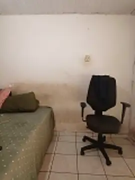 theyllorwillian online show from February 20, 1:13 pm