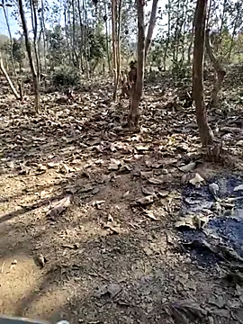 88zaifkhan88 online show from January 10, 4:41 am