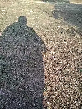 88zaifkhan88 online show from January 14, 3:32 am