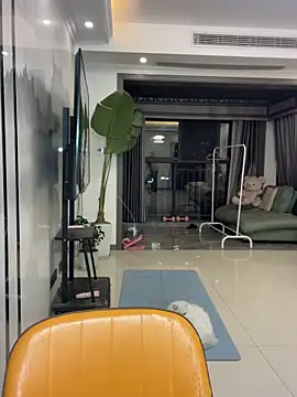 DMG-41 online show from December 2, 12:29 pm