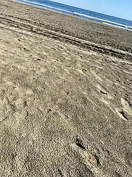 ratemydickbabe online show from December 1, 9:32 am