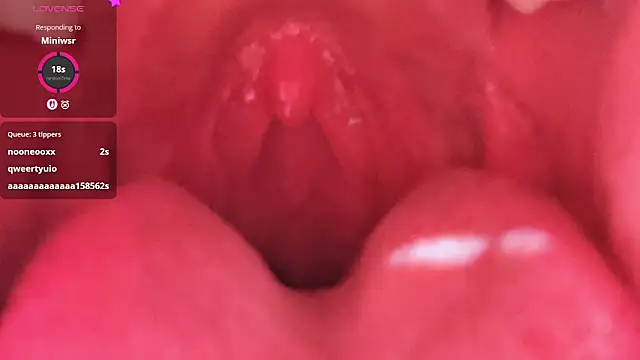 LT-333 online show from February 26, 5:24 pm