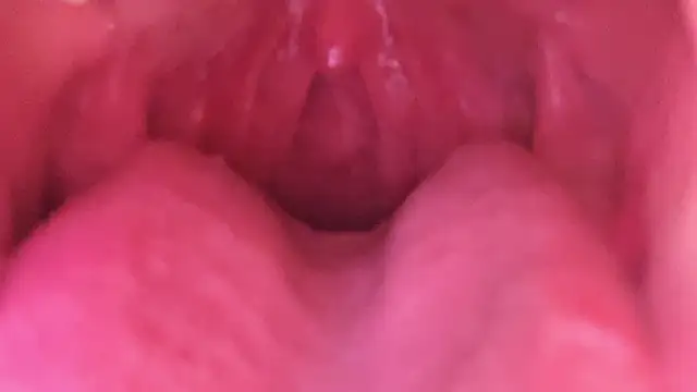 LT-333 online show from January 18, 7:23 am