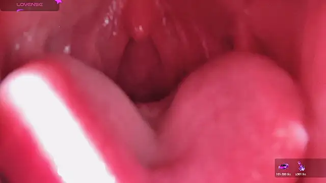 LT-333 online show from February 13, 6:02 am