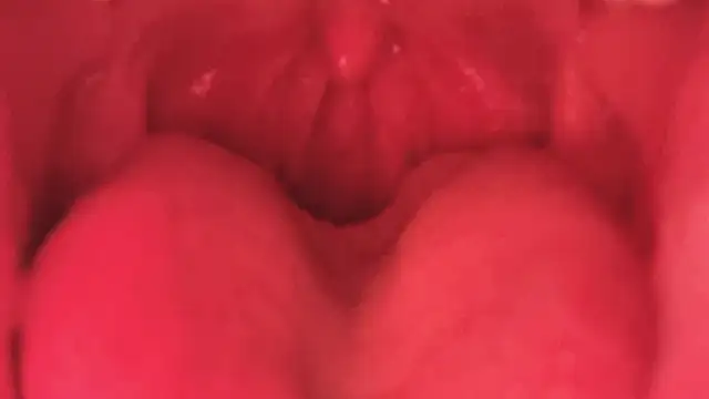 LT-333 online show from January 11, 3:52 pm