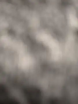 Alpaperve online show from December 4, 10:20 pm