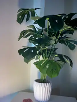 ZoeyFierce online show from March 8, 1:36 pm