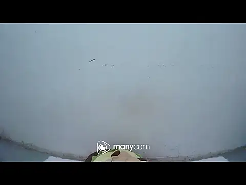 hottiemama69 online show from April 15, 9:48 pm