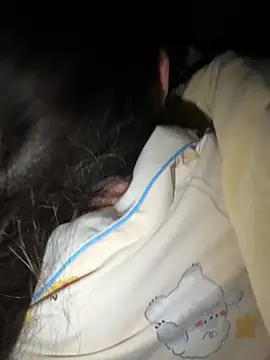 molihua 7788 online show from April 4, 6:36 pm