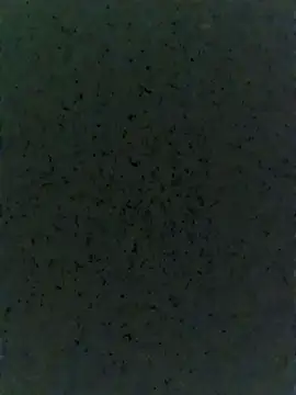 Sexyland0007 online show from November 27, 3:45 pm