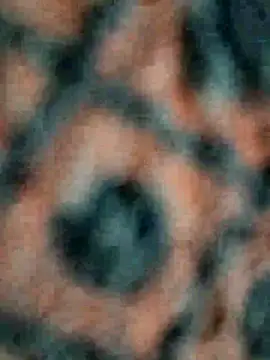 lustyy boy online show from December 1, 5:14 pm