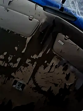 Joes cock online show from February 22, 2:03 am