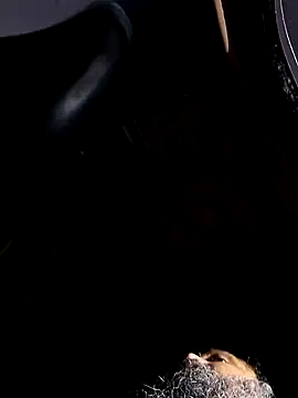 Joes cock online show from March 12, 12:49 am