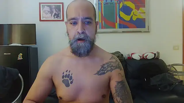 Snapshot of AMIRDIB2025 chatting on June 15, 1:55 pm AMIRDIB2025 online show from June 15, 1:55 pm
