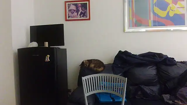 AMIRDIB2025 online show from April 18, 12:24 am