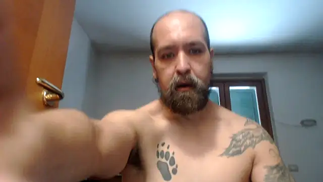 Snapshot of AMIRDIB2025 chatting on July 21, 3:24 pm AMIRDIB2025 online show from July 21, 3:24 pm