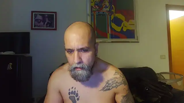 Snapshot of AMIRDIB2025 chatting on June 12, 5:43 pm AMIRDIB2025 online show from June 12, 5:43 pm
