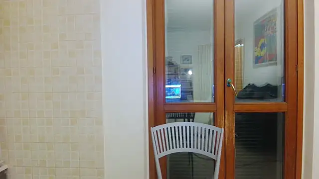 AMIRDIB2025 online show from April 29, 2:49 am