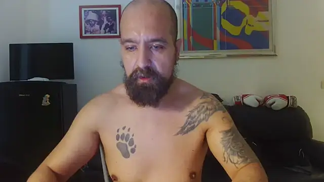 Snapshot of AMIRDIB2025 chatting on June 16, 4:29 pm AMIRDIB2025 online show from June 16, 4:29 pm
