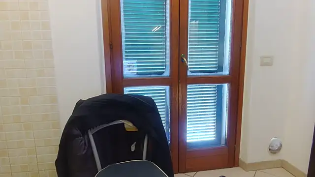 AMIRDIB2025 online show from February 21, 10:28 am