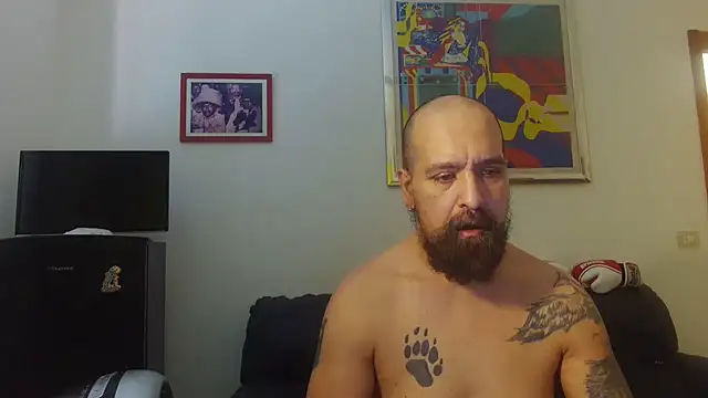 Snapshot of AMIRDIB2025 chatting on June 17, 10:47 am AMIRDIB2025 online show from June 17, 10:47 am
