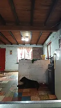 ChanneldelaCroix online show from March 12, 1:37 pm