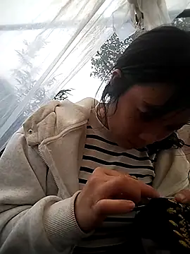 Snapshot of Alibabapi chatting on February 25, 7:41 am Alibabapi online show from February 25, 7:41 am