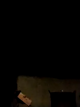 LeoPet2x online show from February 11, 1:44 pm