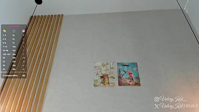 Snapshot of Valerykat_ chatting on February 9, 11:41 am Valerykat online show from February 9, 11:41 am