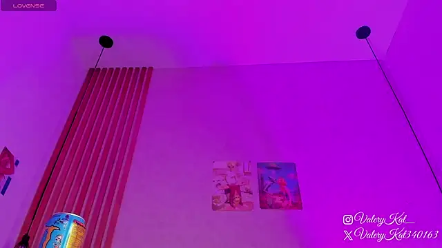 Snapshot of Valerykat_ chatting on February 13, 11:32 am Valerykat online show from February 13, 11:32 am