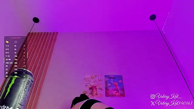 Snapshot of Valerykat_ chatting on February 21, 11:45 am Valerykat online show from February 21, 11:45 am