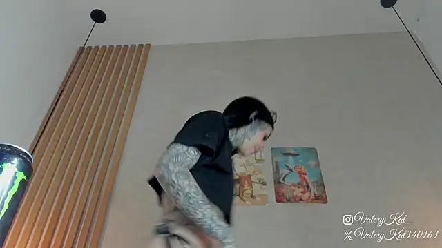 Snapshot of Valerykat_ chatting on February 6, 12:01 pm Valerykat online show from February 6, 12:01 pm